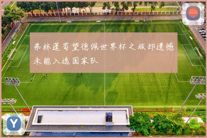 弗林蓬寄望德佩世界杯之旅却遗憾未能入选国家队