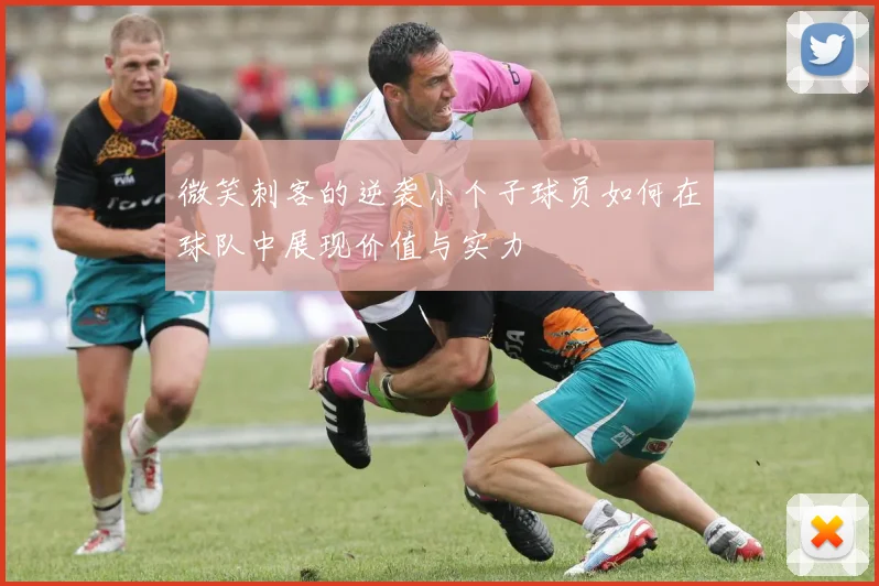 微笑刺客的逆袭小个子球员如何在球队中展现价值与实力