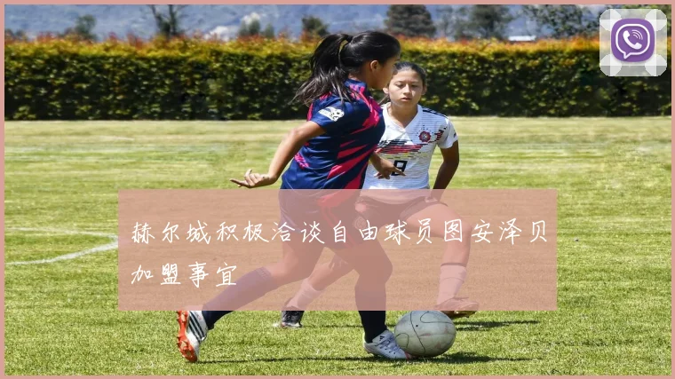 赫尔城积极洽谈自由球员图安泽贝加盟事宜